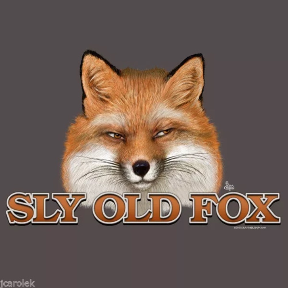 SLY OLD FOX Unisex T-Shirt Sizes